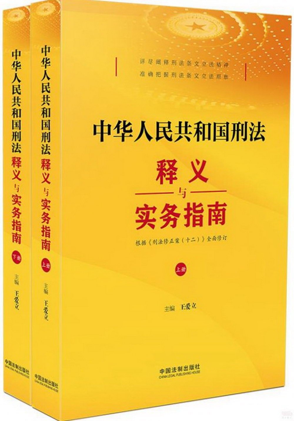 中華人民共和國刑法釋義與實務指南（上下冊）